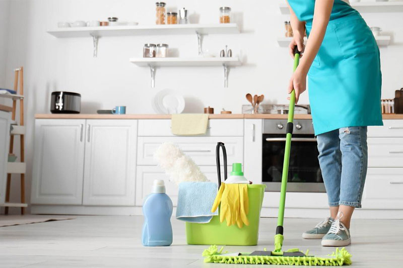 domesticcleaning_z1